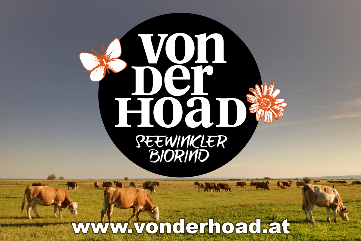 logo vonderhoad